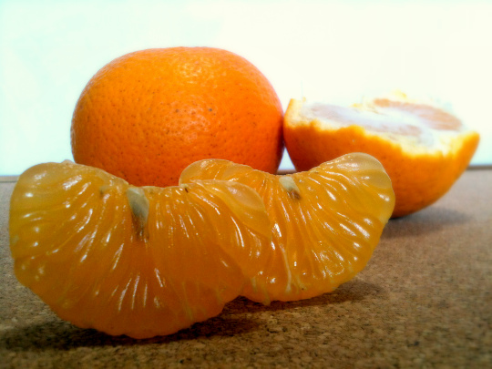 右田柑橘